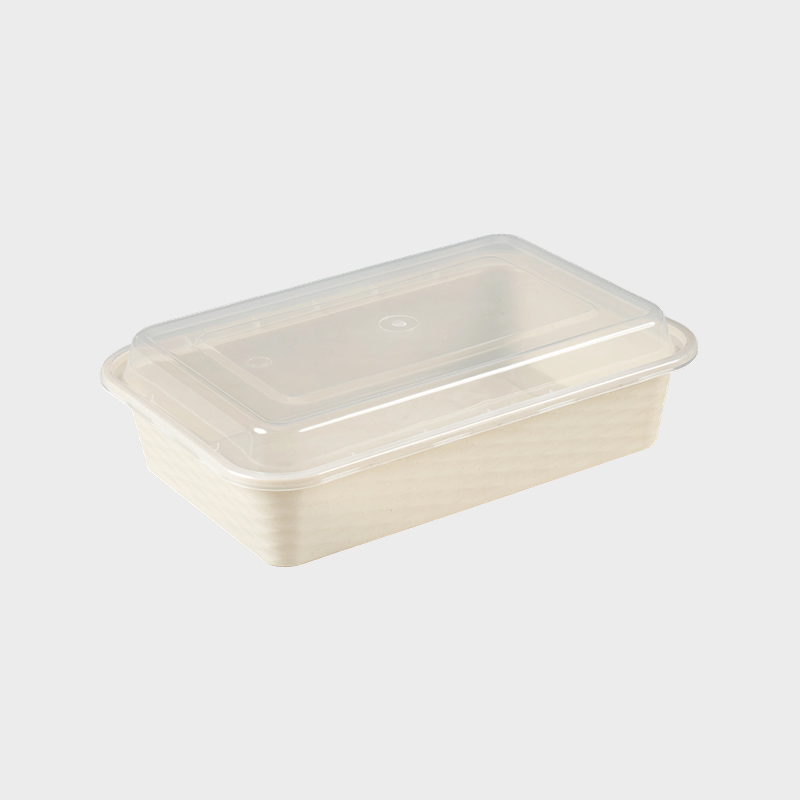 Svart Bas Transparent Lock Plast Matlåda PFK001